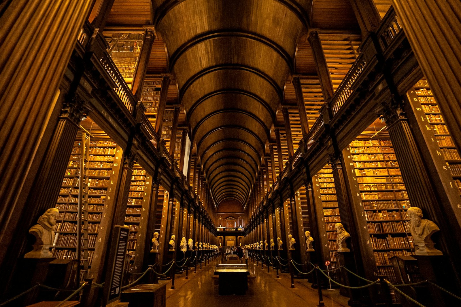 A library in infinite perspective